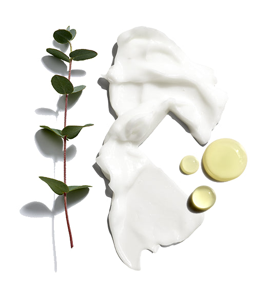 Beard Lube Conditioning Shave