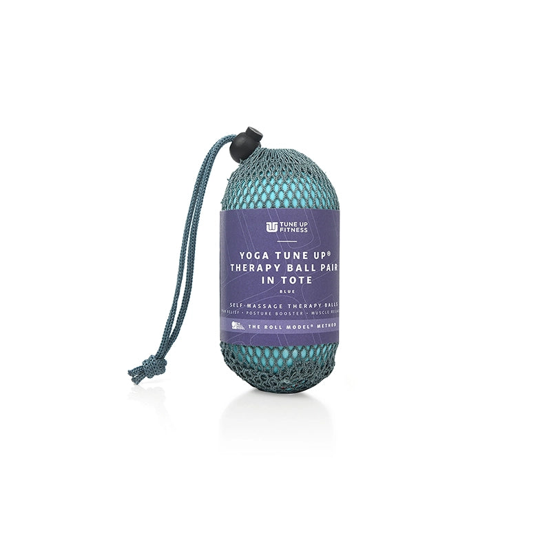 Yoga Therapy Ball Pair