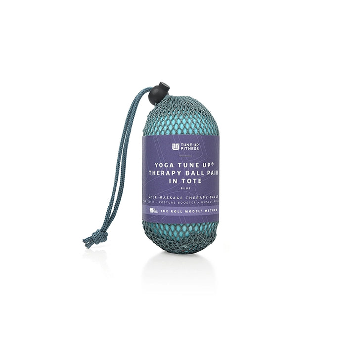 Yoga Therapy Ball Pair