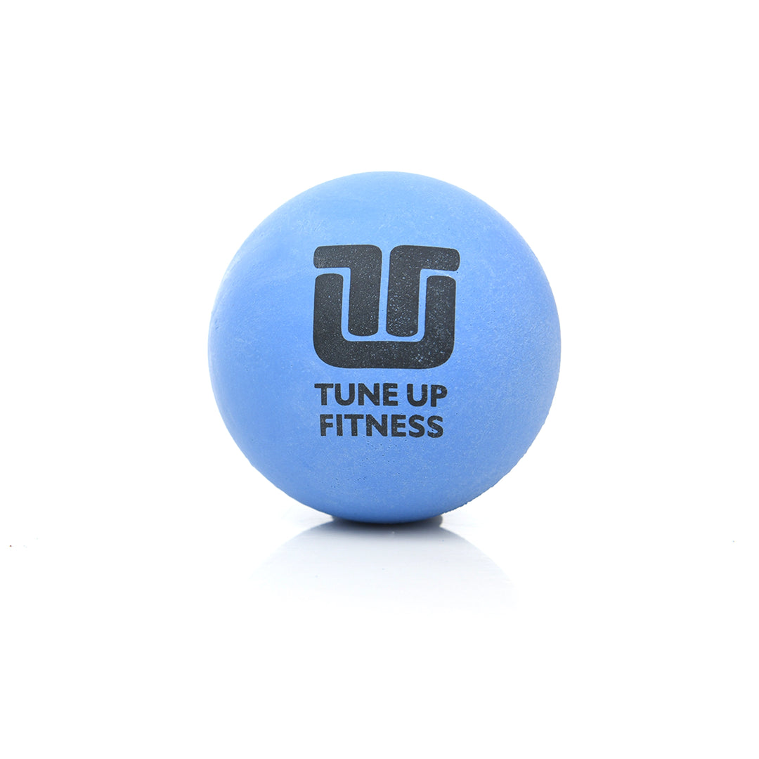 Therapy Ball PLUS Pair