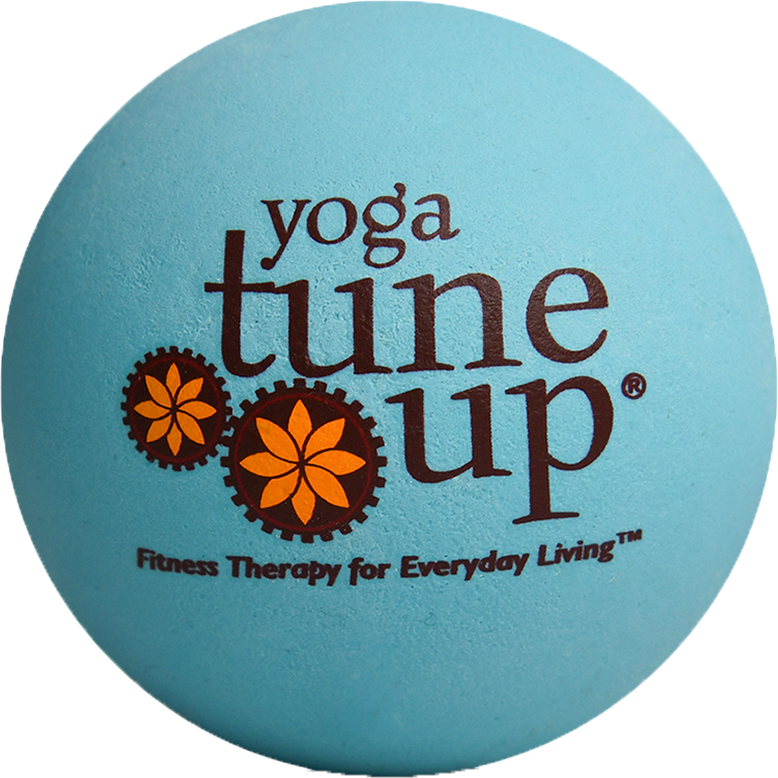 Yoga Therapy Ball Pair