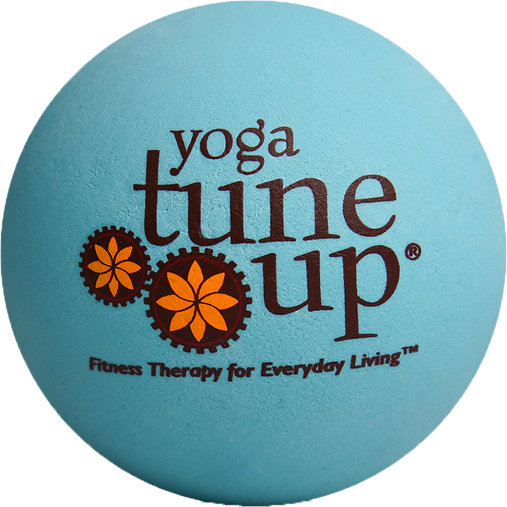 Yoga Therapy Ball Pair