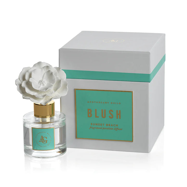 Blush Porcelain Diffuser