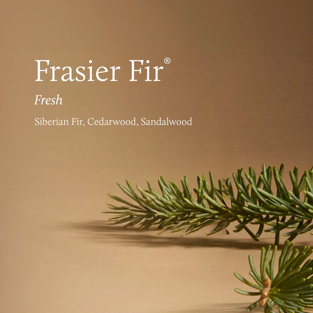 Frasier Fir® Tidings Votive Candle