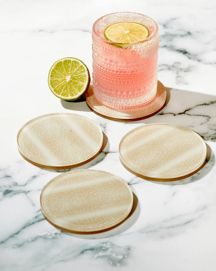 Fawn Print Coasters