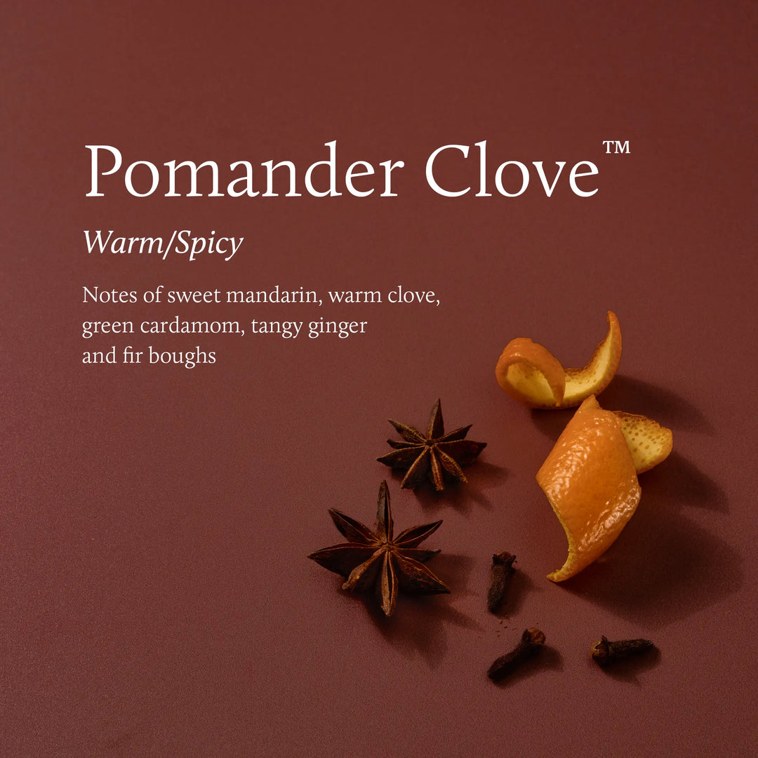 Pomander Clove Votive Candle